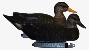 Higdon Battleship Super Magnum Black Duck - Mallard