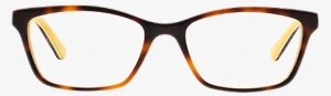 Image Royalty Free Ra Shop Ralph Tortoise At Lenscrafters - Glasses High Resolution