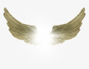 Angel Wings - Png Victoria Secrets Wings