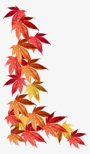 Autumn Leaves Png Transparent