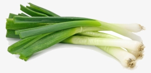 Green Onions Png - Spring Onions