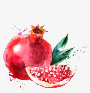 Watercolor Painting Drawing Fruit Illustration