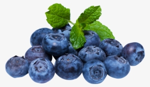 blueberries png - blueberry png