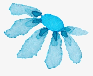 Cute Watercolor Hand Painted Flowers Decorative - Watercolor Painting