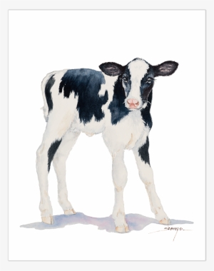 Baby Cow Wall Art - Baby Of Cow Png