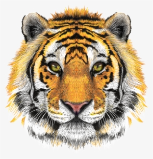 Tiger Head Transparent Background