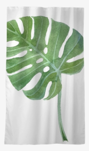 Watercolor Monstera Leaf Sheer Window Curtain • Pixers® - Monstera Leaf Watercolor