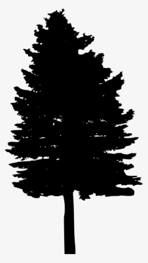 Pine Watercolor Png - Portable Network Graphics