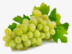 Table Grapes - Indian Grapes