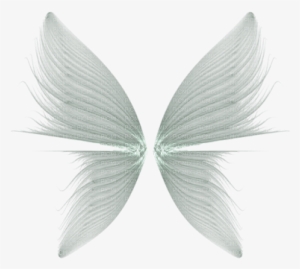 Fairy Wings Png Svg Freeuse - Transparent Background Wings Png