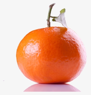 Tangerine Png