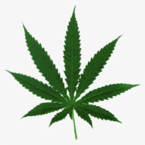 Marijuana Leaf - Marijuana Leaf Svg