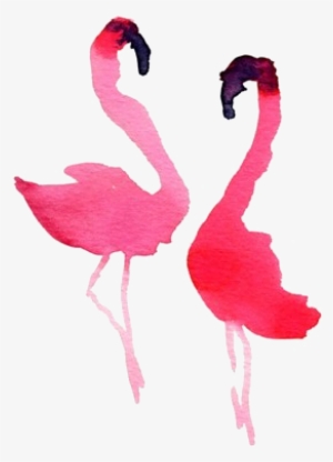 Flamingos Pink Flamingos, Flamingo Art, Bird Art, Watercolor - Watercolor Flamingo Simple