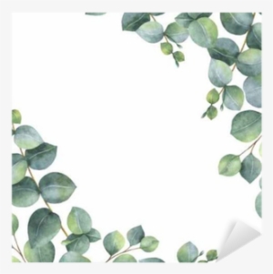 Watercolor Green Floral Card With Silver Dollar Eucalyptus - Eucalyptus Leaves Background