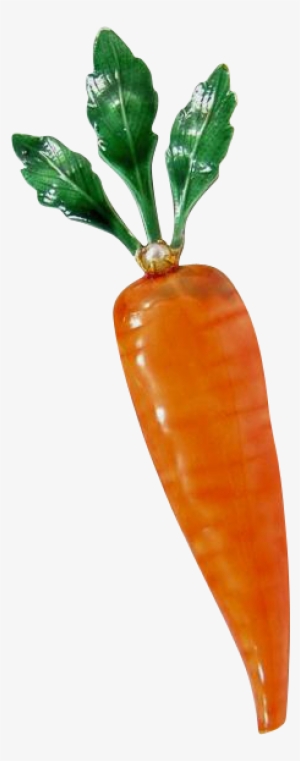 Carrot