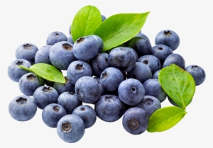 Blueberry Png Free Download - Blueberry Clipart