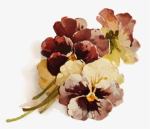 Autumn's Crowning Glory ~ Png File, Pansies Decoupage - Brown Flower Transparent Background