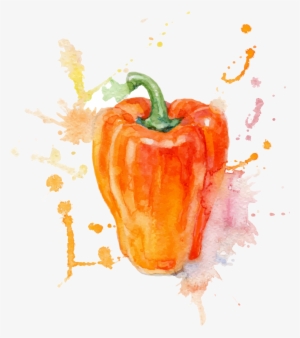 Watercolor Painting Vegetable Illustration - Water Colour For Vegetables