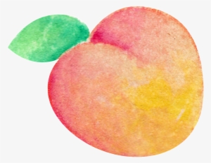 Watercolor Hand Painted Peach Transparent Fruit Png - Peach