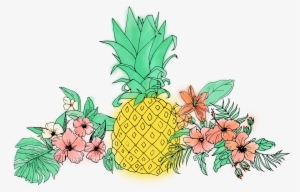 Pineapple Clip Free Download - Pineapple Tropical Flower Illustrations