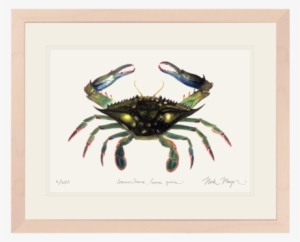 Blue Crab, Claws In - T-shirt