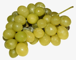 Download Grapes Png Image - Grape