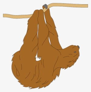Tree, Branch, Animal, Hanging, Fur, Sloth - Clip Art