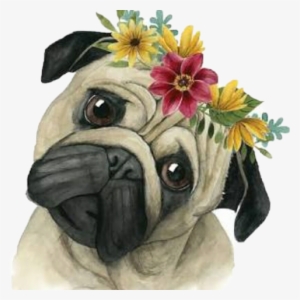 #freetoedit,#scpug,#pug - Art Print: Flower Crown Pup I By Grace Popp : 18x18in