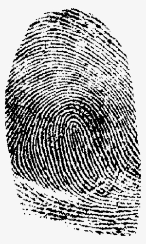 Png Images All Graphic Transparent Library - Fingerprint Transparent