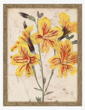 Vision Studio - Curtis Blooms In Yellow Iv