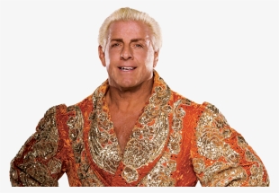 Ric Flair Won The Wwe Title During The 1992 Royal Rumble - Ric Flair Cut Out