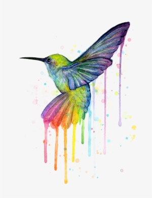 Download Hummingbird Of Watercolor Rainbow Transparent Png 480x480 Free Download On Nicepng