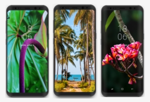 Download These Three Tropical Plants Wallpapers For - Wallpaper