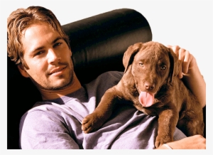 Paul Walker 1973 2013 R - Chris Hemsworth And Puppy