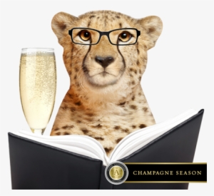 Educate Then Celebrate Types Of Champagne For The Holiday - Champagne