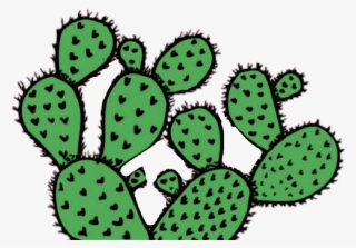 Tumblr Png Cactus Jpg Transparent Library - Cactus
