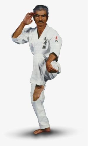 Shinyu-gushi - Karate Gi Uechi Ryu