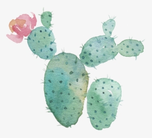 Watercolor Cactus Transparent Background
