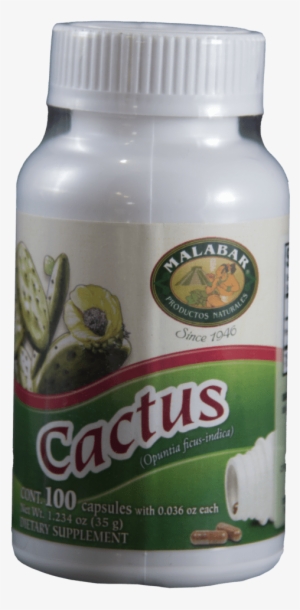 Cactus Nopal Pills - Lizard