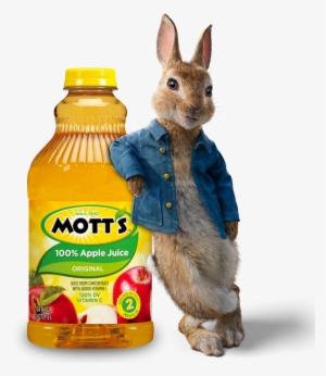 How Many Mott's Products Can You Count - Mott's Apple Juice - 64 Fl Oz Bottle