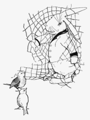 Peter Rabbit Albert 33 - Illustration