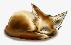 Fennec Fox By Jessay Bunnybee-d3ivf6z - Fennec Fox
