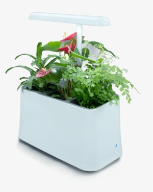 Flowerpot