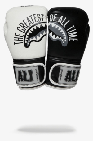 Sprayground- Muhammad Ali G