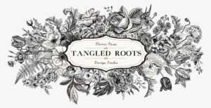 tangle roots logo vnewtextfinalblacklines forweb