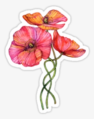 Peach & Pink Poppy Tangle By Micklyn - Thinking Of You, Anniversary Of The Loss