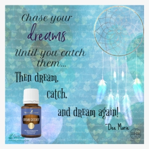 Dream Catcher™ Essential Oil Blend - My Dream Journal