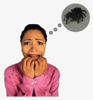I'm Scared Of Spiders - Public Speaking For The Terrified! Pocket Tips