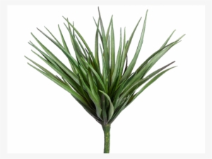 5" Desert Yucca Dark Green - Silk Plants Direct Yucca - Green Dark - Pack