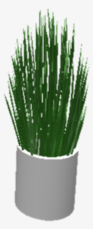 Spikyplant - Plants